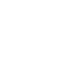 Carrito